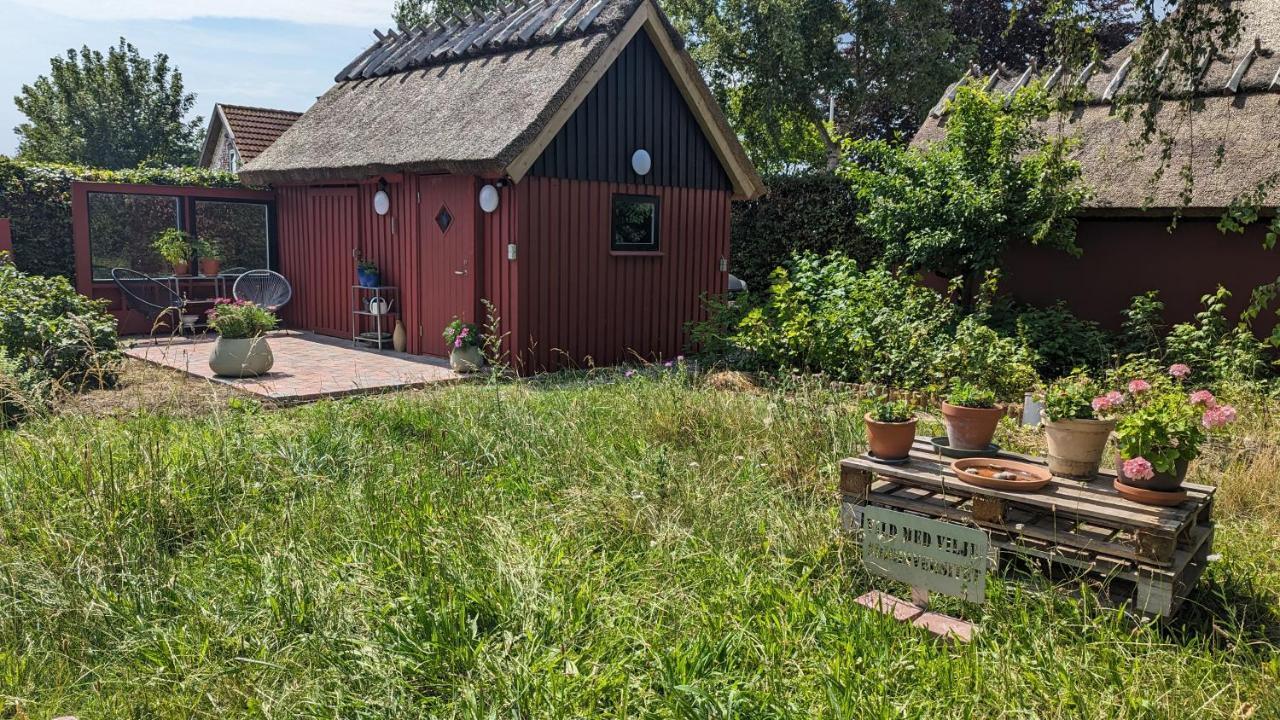 Bed and Breakfast Under Valnodden Stubbekøbing Exterior foto