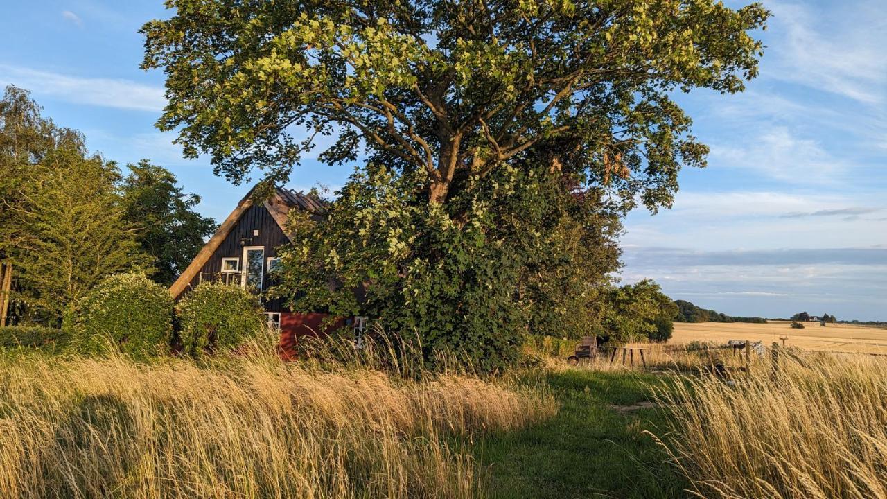 Bed and Breakfast Under Valnodden Stubbekøbing Exterior foto